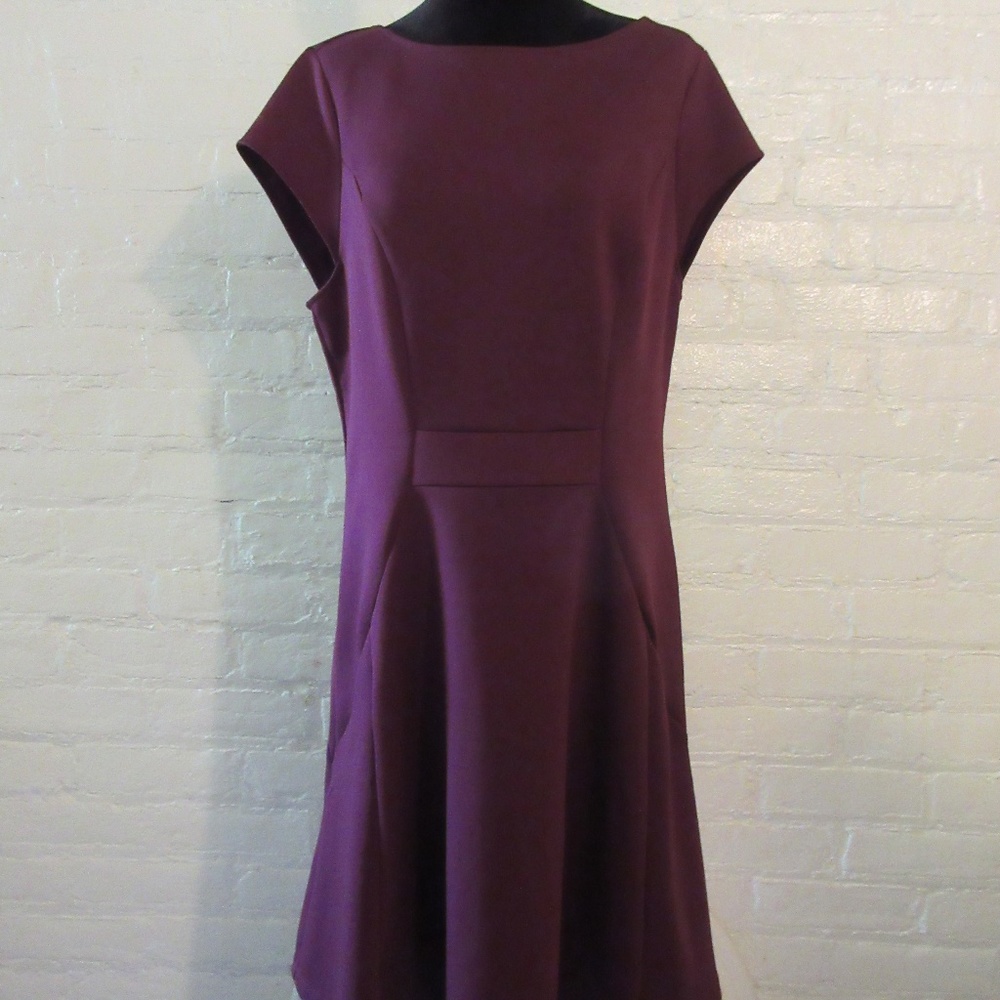 FINAL PRICE The Limited burgundy dress